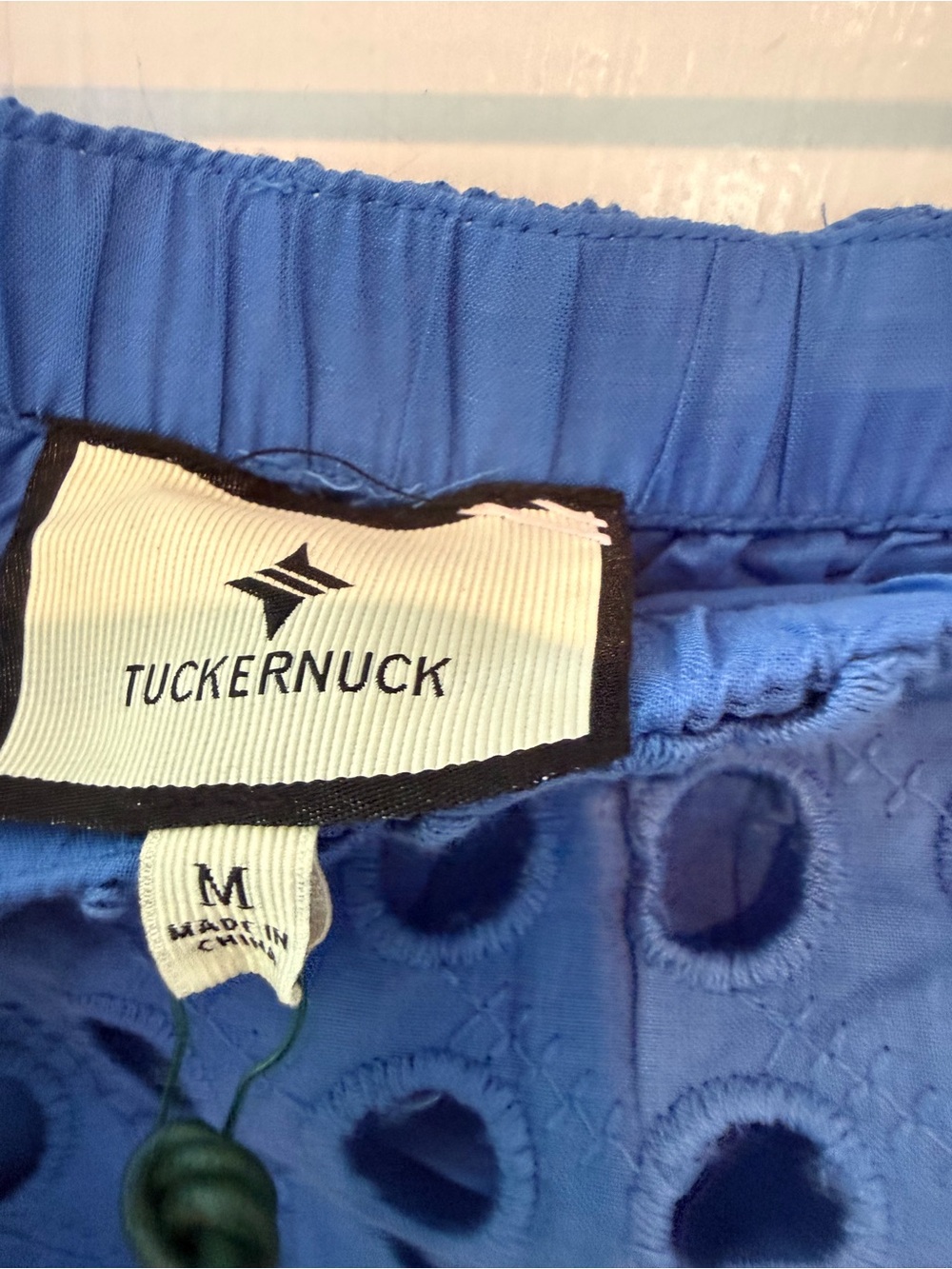 Tuckernuck Cobalt Eyelet Maxi Skirt - Picture 8 of 9